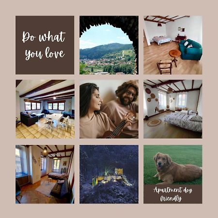 Gite Chez Lulu Proche Du Chateau De Schirmeck Apartment Ngoại thất bức ảnh