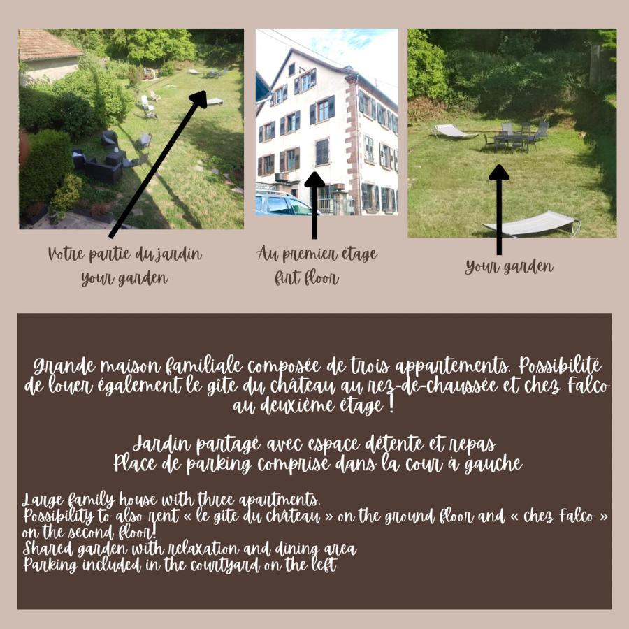 Gite Chez Lulu Proche Du Chateau De Schirmeck Apartment Ngoại thất bức ảnh